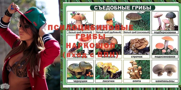apvp Костерёво